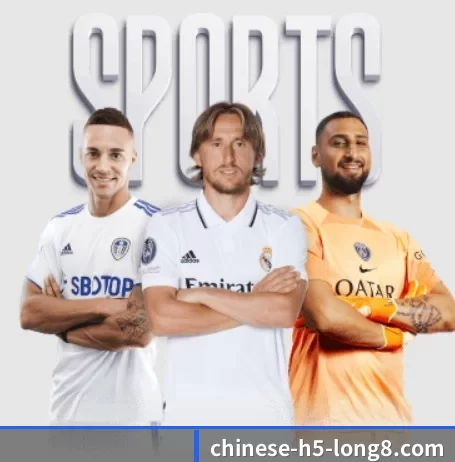 龙八体育 APP 界面